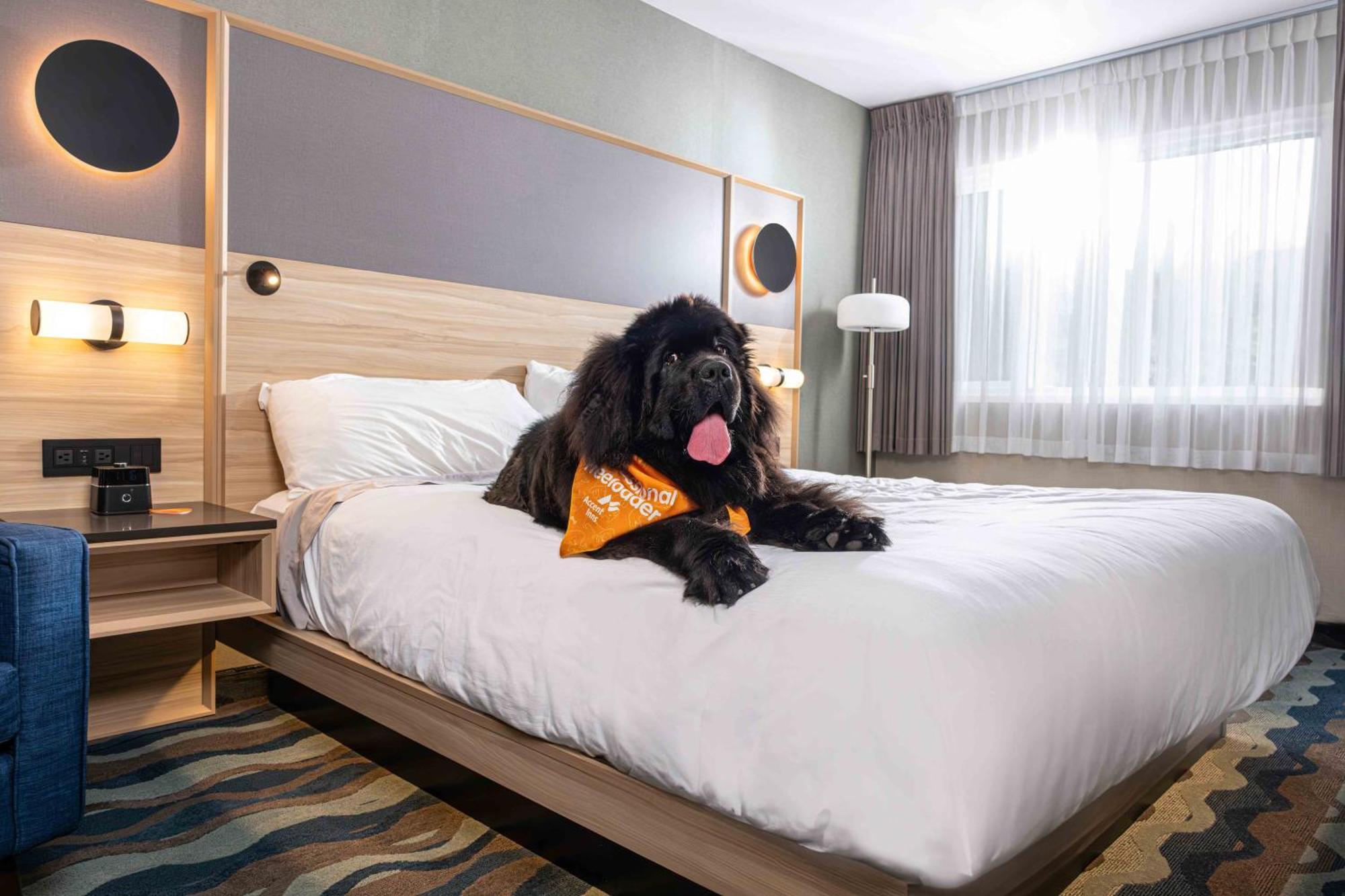 Accent Inns Kamloops Kültér fotó